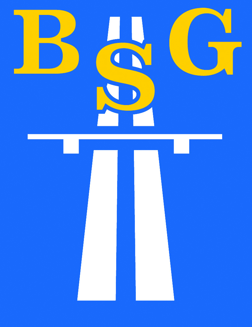 BSG Logo 4c_DG